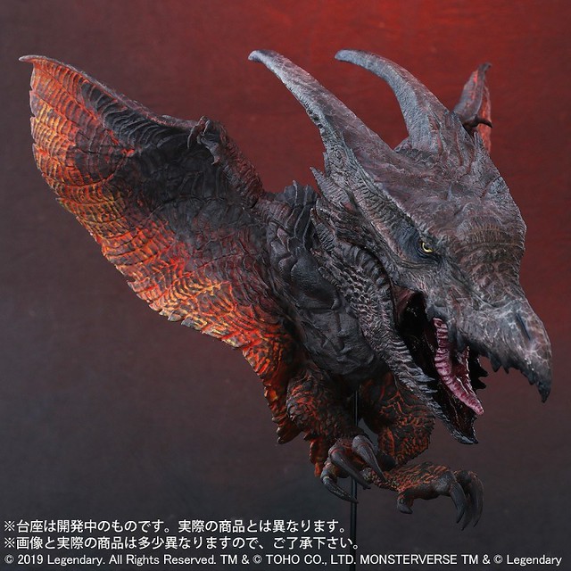 Defoal radon (2019) X-Plus