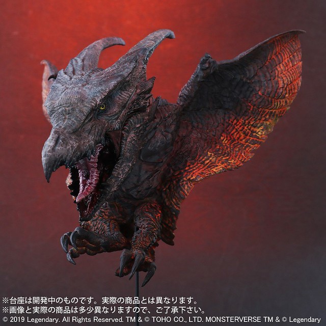 Defoal radon (2019) X-Plus