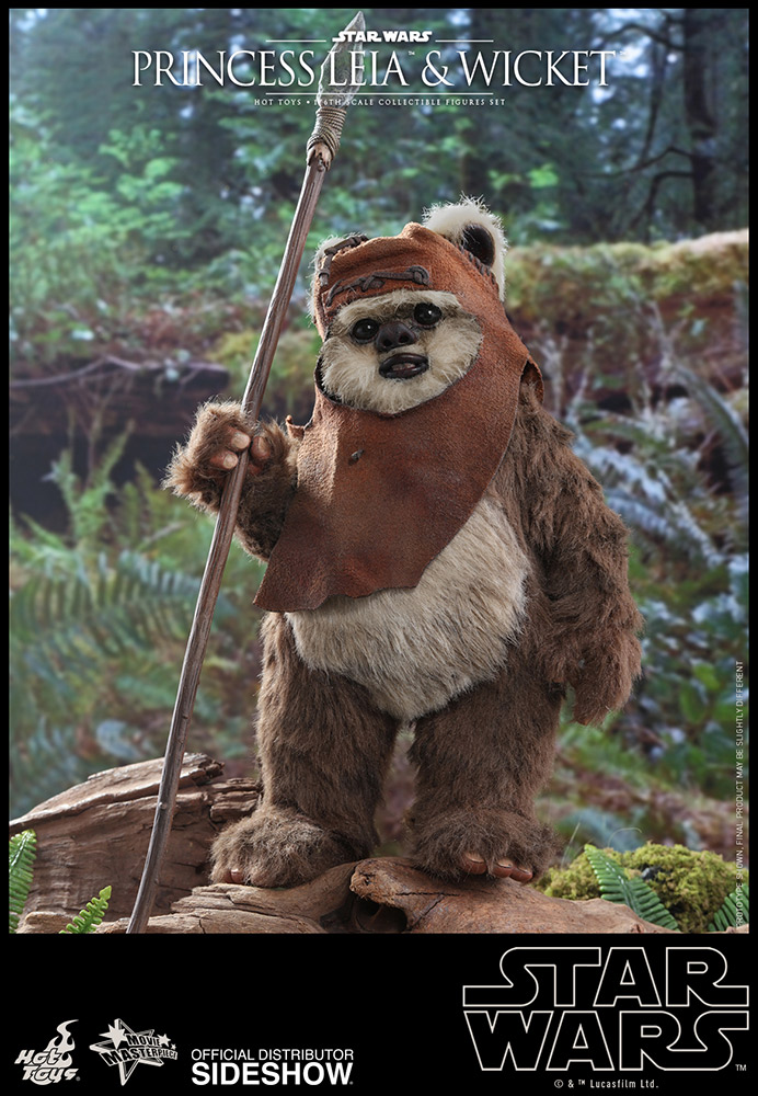 Princess Leia & Wicket Sixth Scale Figure Set by Hot Toys