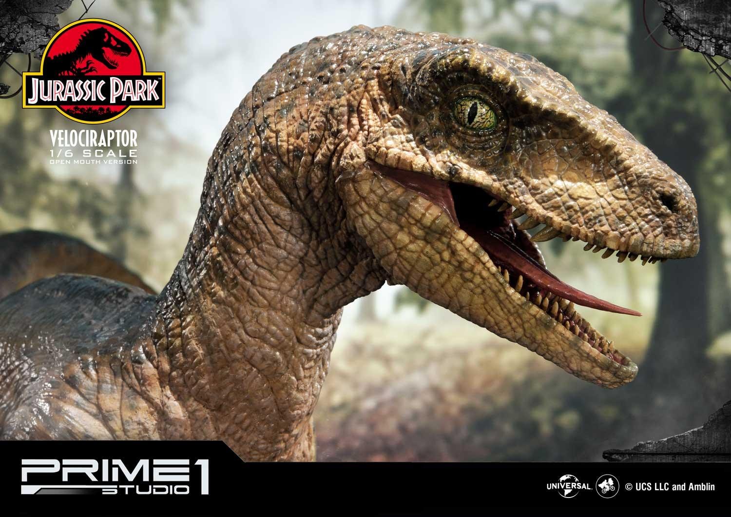 Velociraptor (Open mouth) Bonus Version by Prime1Studio