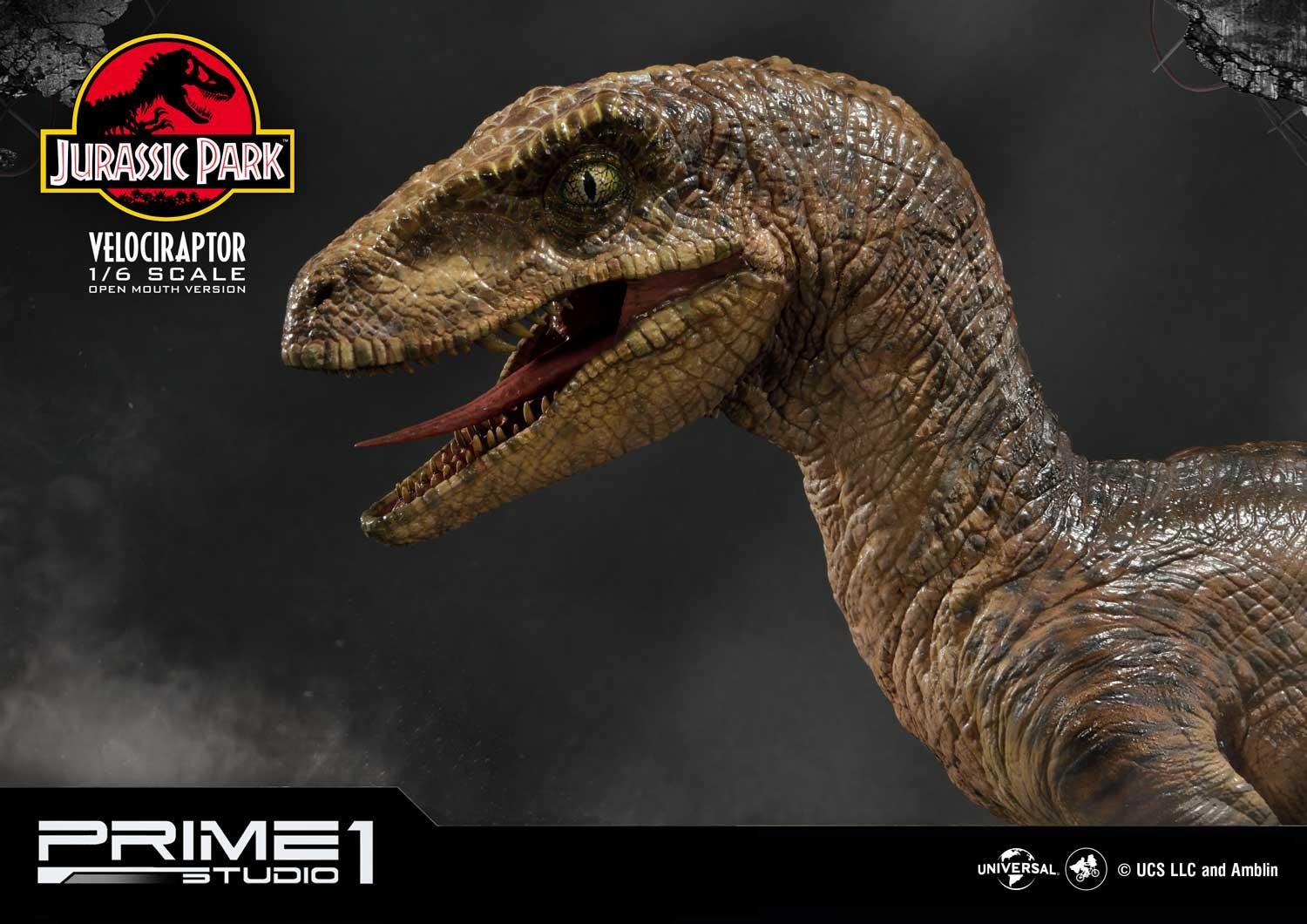 Velociraptor (Open mouth) Bonus Version by Prime1Studio