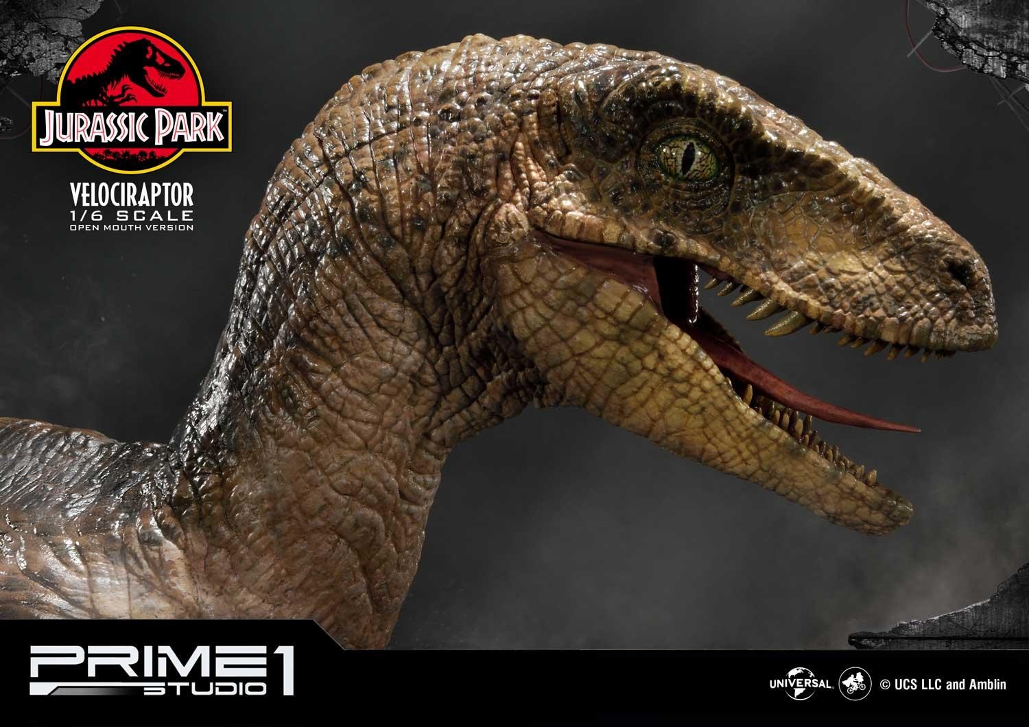 Velociraptor (Open mouth) Bonus Version by Prime1Studio