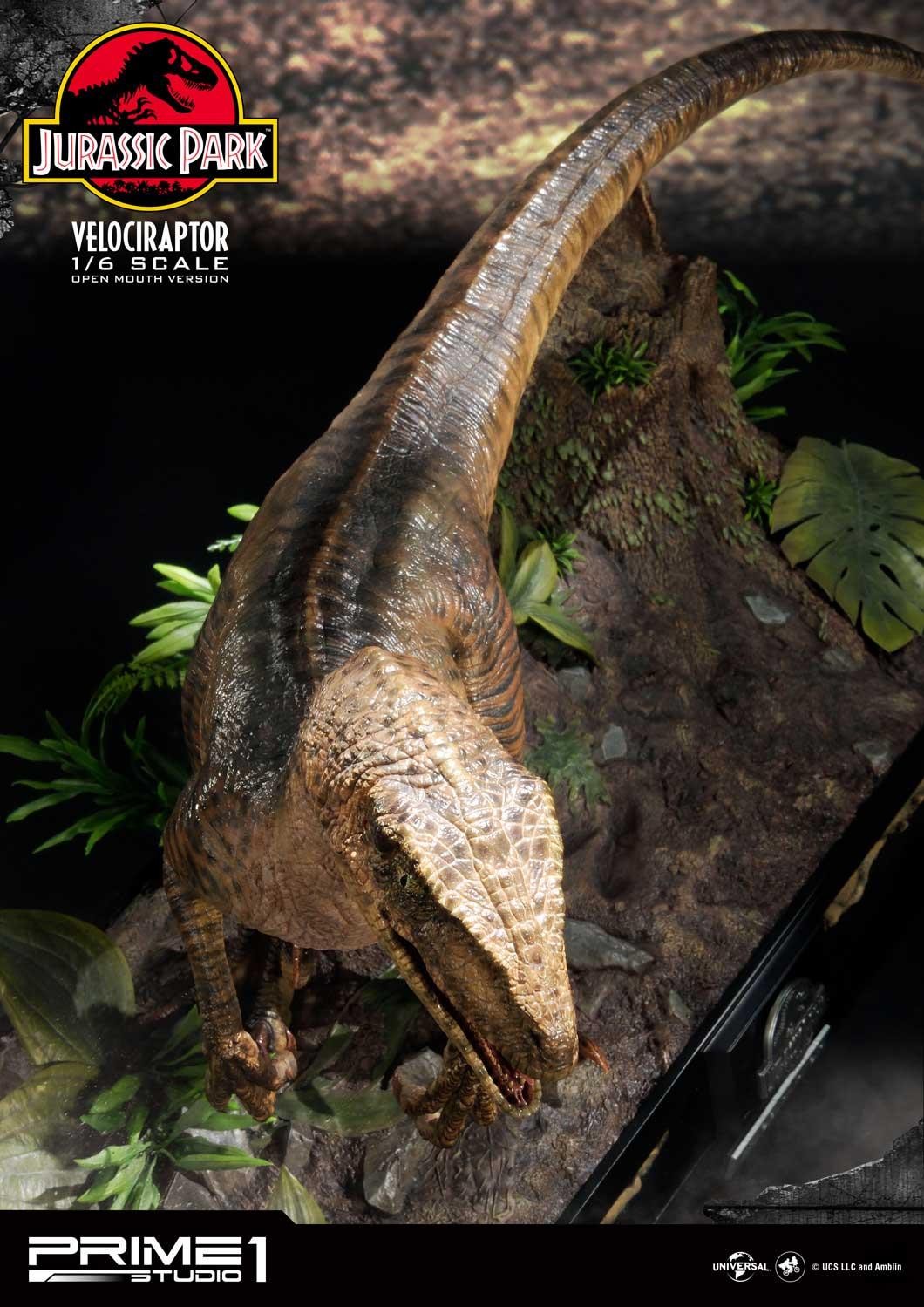 Velociraptor (Open mouth) Bonus Version by Prime1Studio