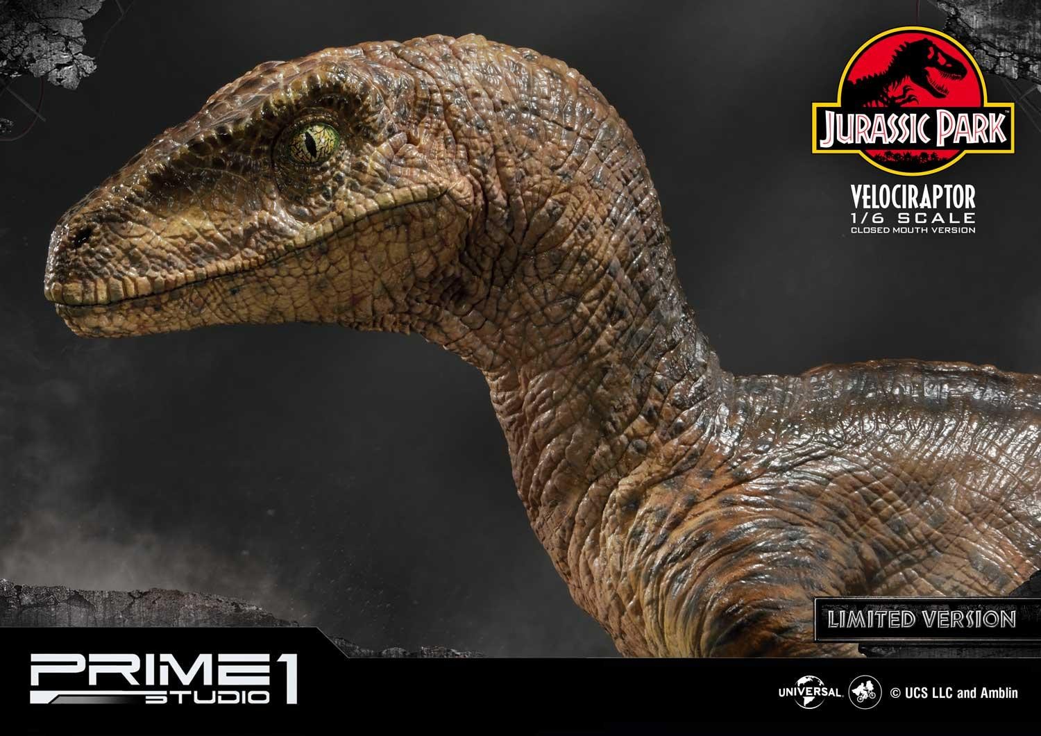 Velociraptor (Closed mouth) by Prime1Studio 