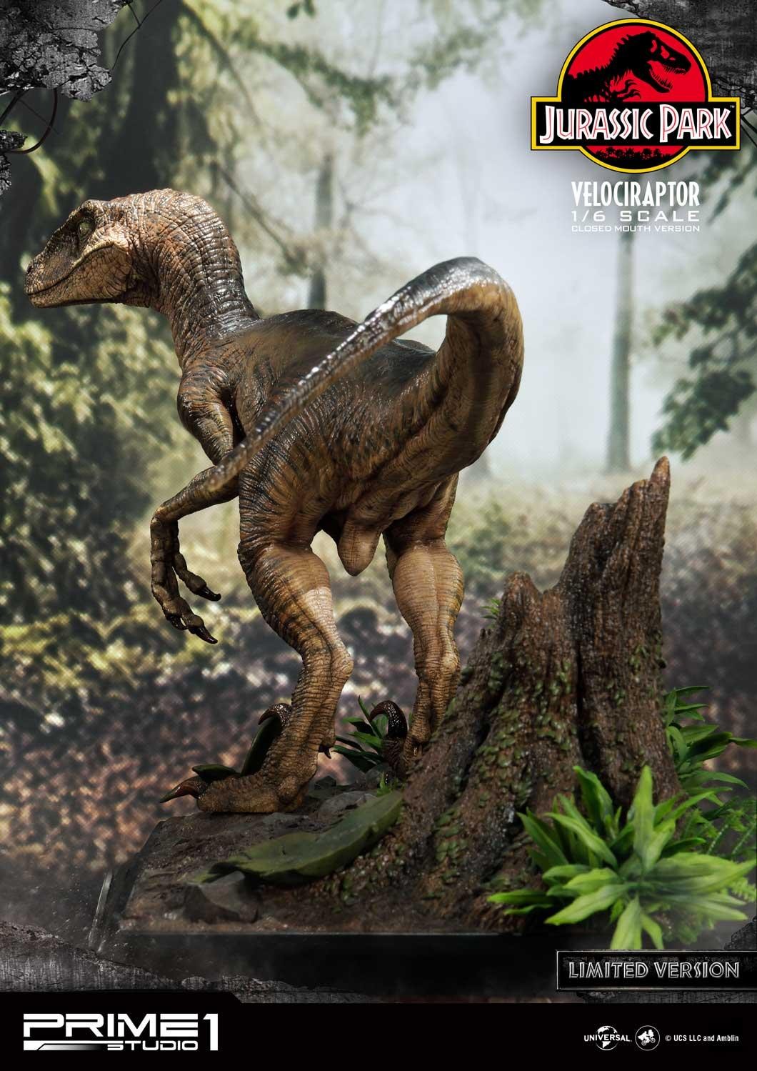 Velociraptor (Closed mouth) by Prime1Studio 