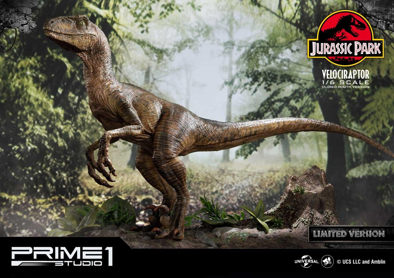 Velociraptor (Closed mouth) by Prime1Studio 