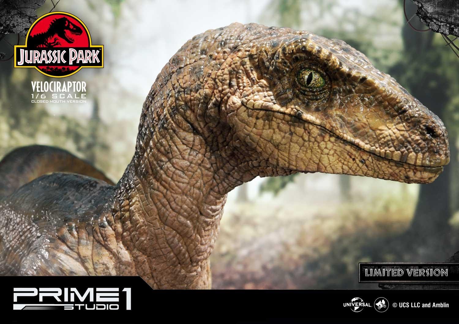 Velociraptor (Closed mouth) by Prime1Studio 