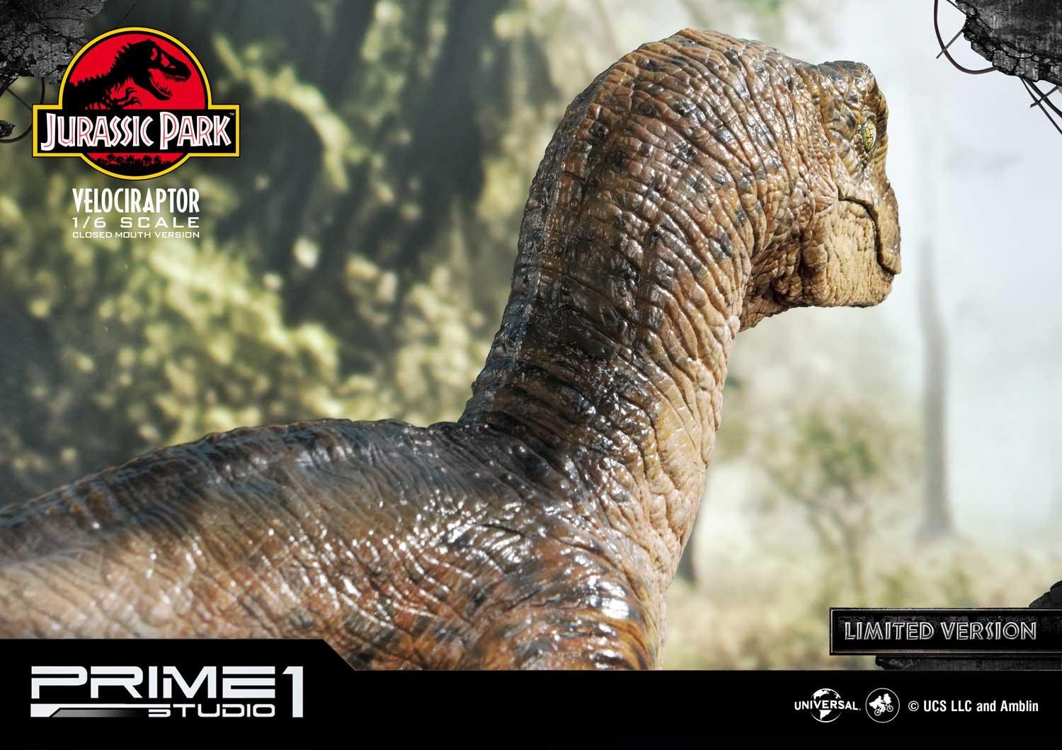 Velociraptor (Closed mouth) by Prime1Studio 