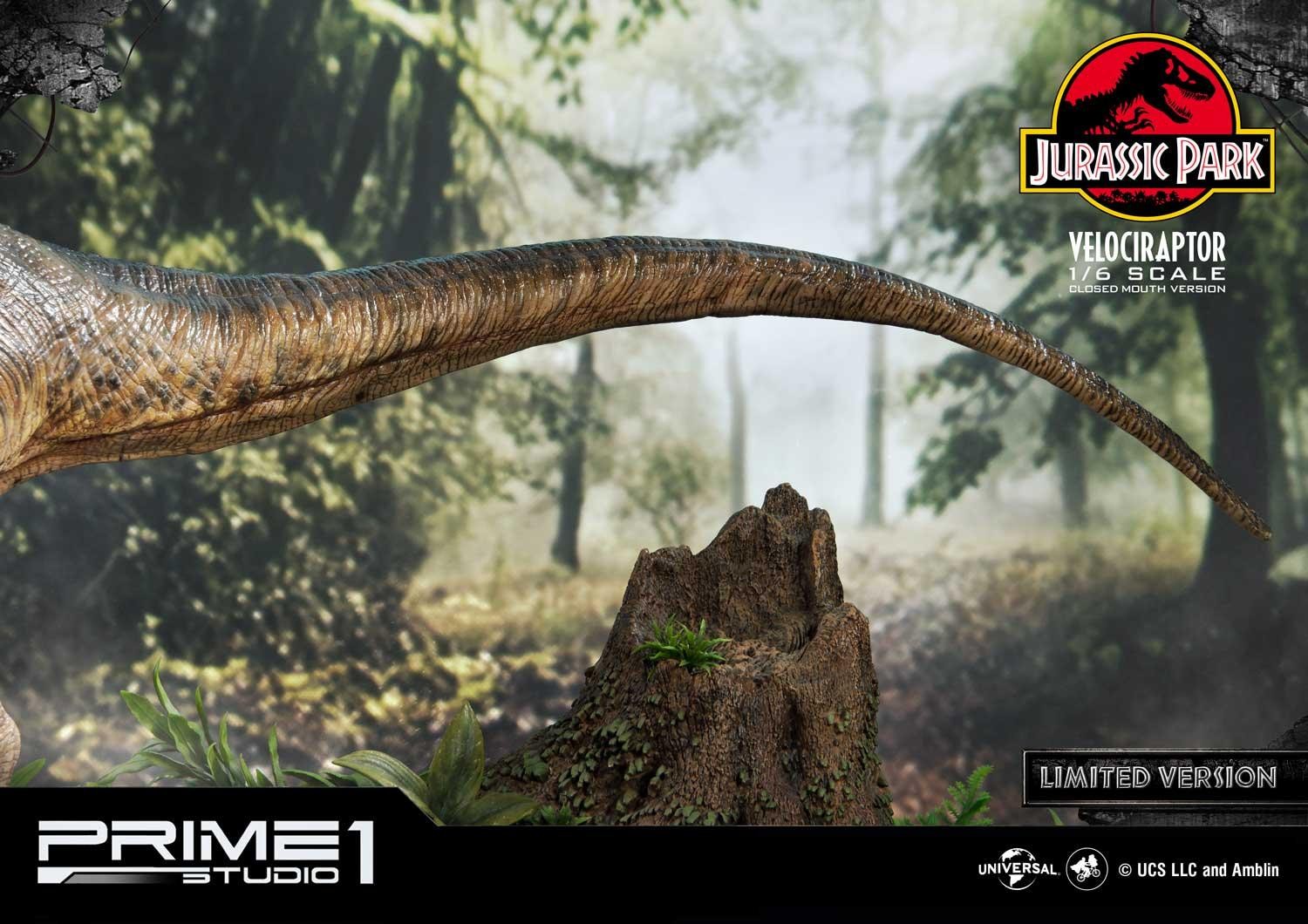 Velociraptor (Closed mouth) by Prime1Studio 