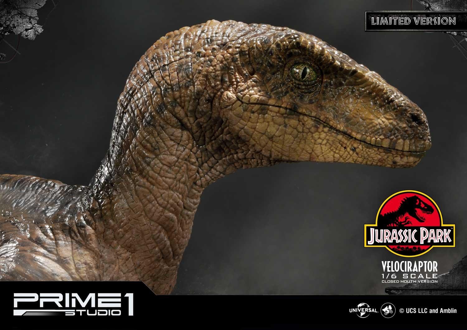 Velociraptor (Closed mouth) by Prime1Studio 