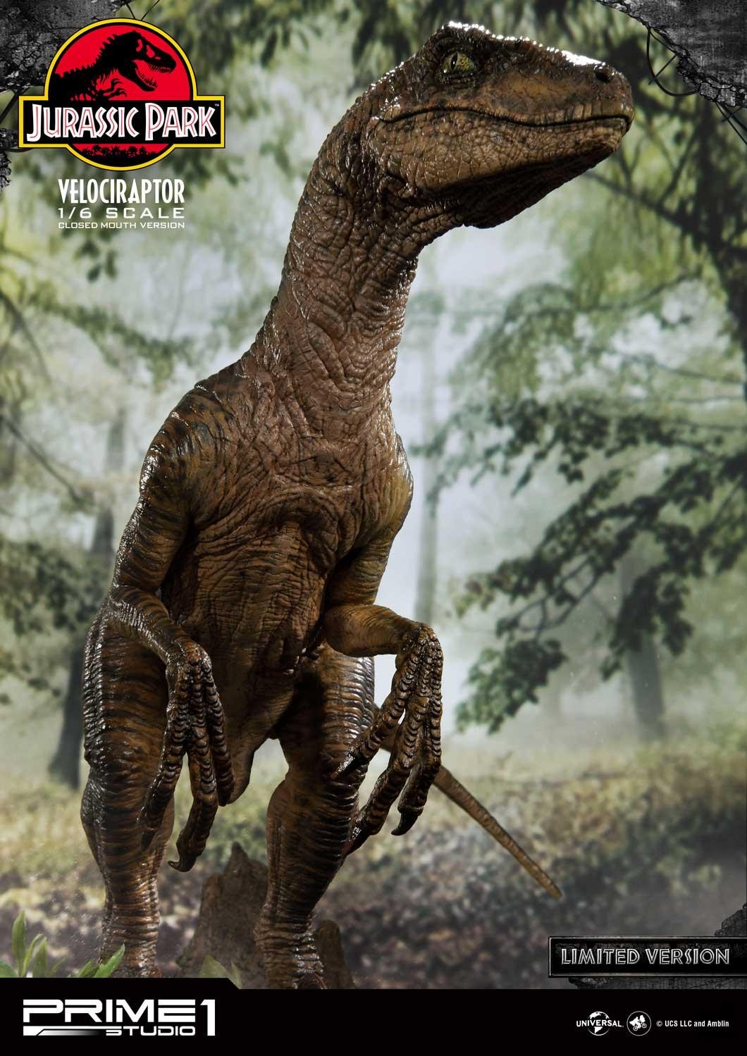 Velociraptor (Closed mouth) by Prime1Studio 