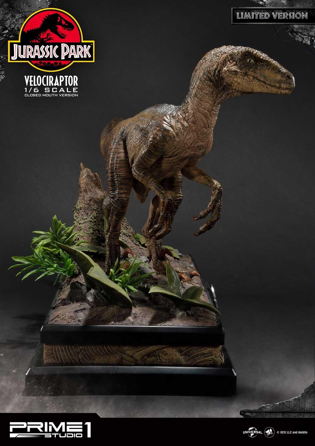 Velociraptor (Closed mouth) by Prime1Studio 
