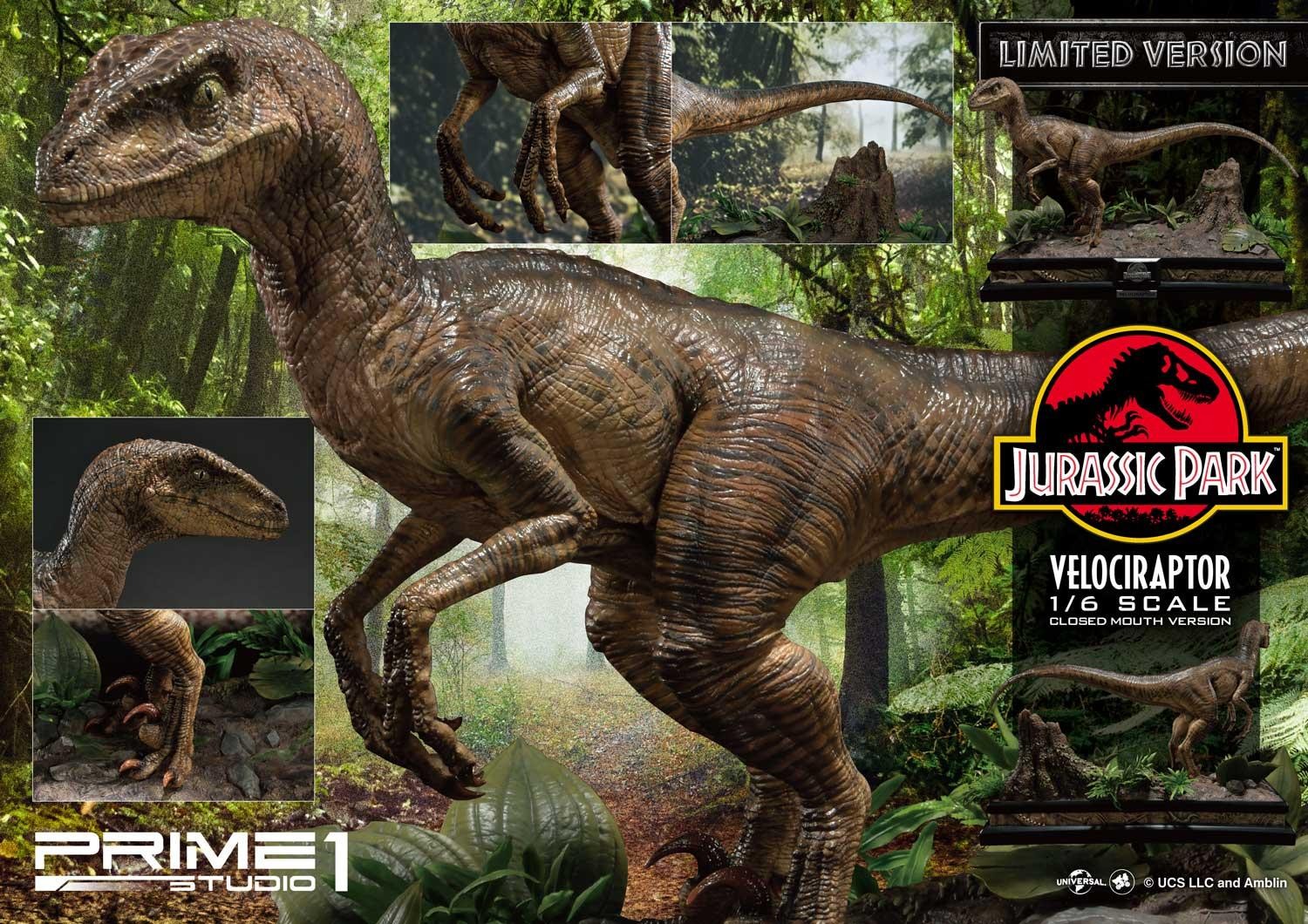 Velociraptor (Closed mouth) by Prime1Studio 