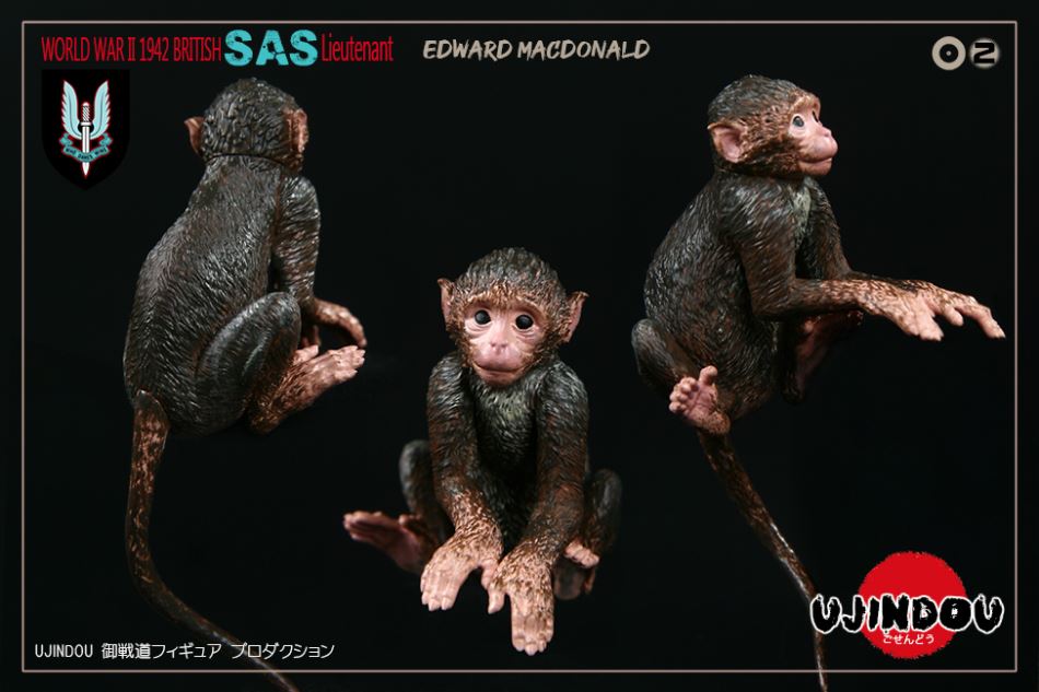 UJINDOU 1/6 World War II-Lieutenant Edward McDonald 1942