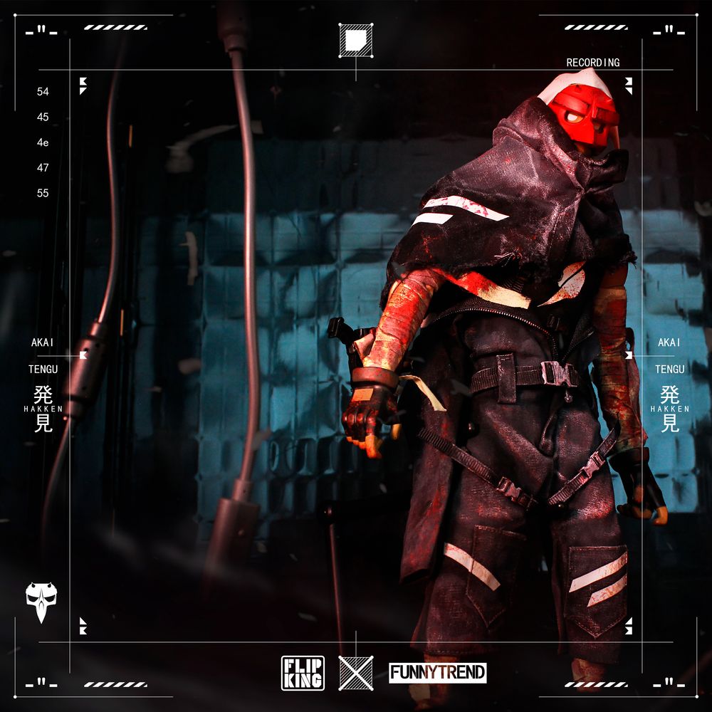 FTP music FLIP KING TENGU AKAI 12 inch movable doll / NYX BRICK