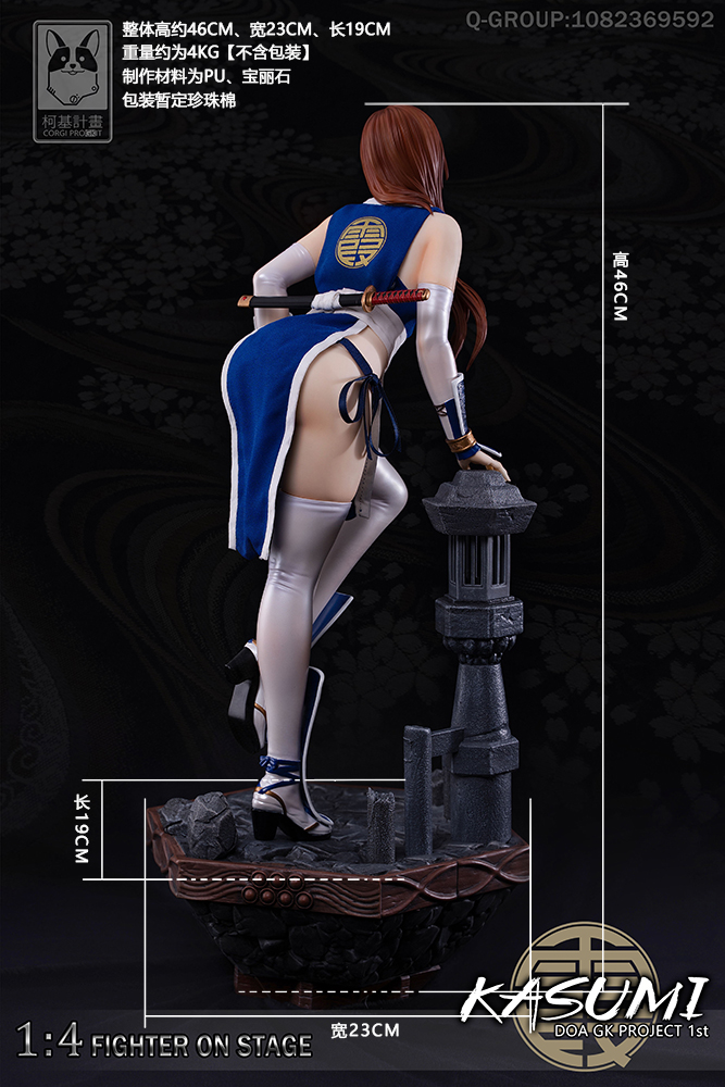 1/4 DOA GK PROJECT - Kasumi