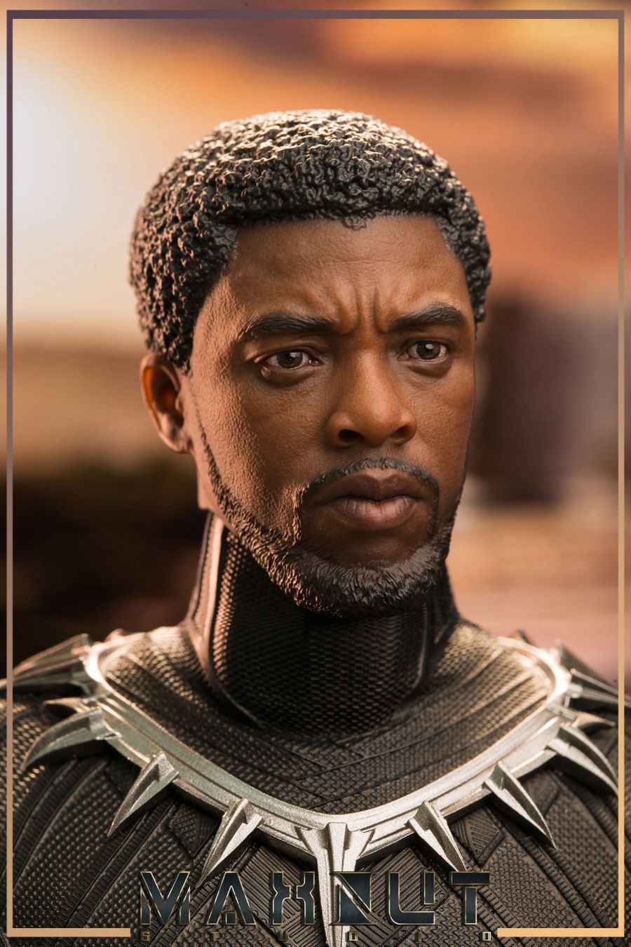 1/6 Black Panther limited edition head carving set
