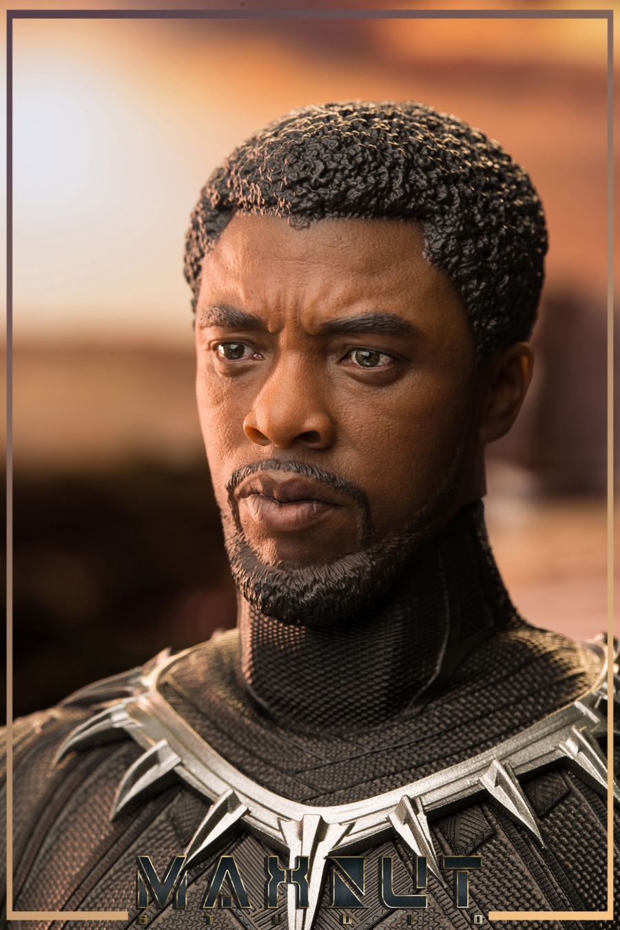 1/6 Black Panther limited edition head carving set