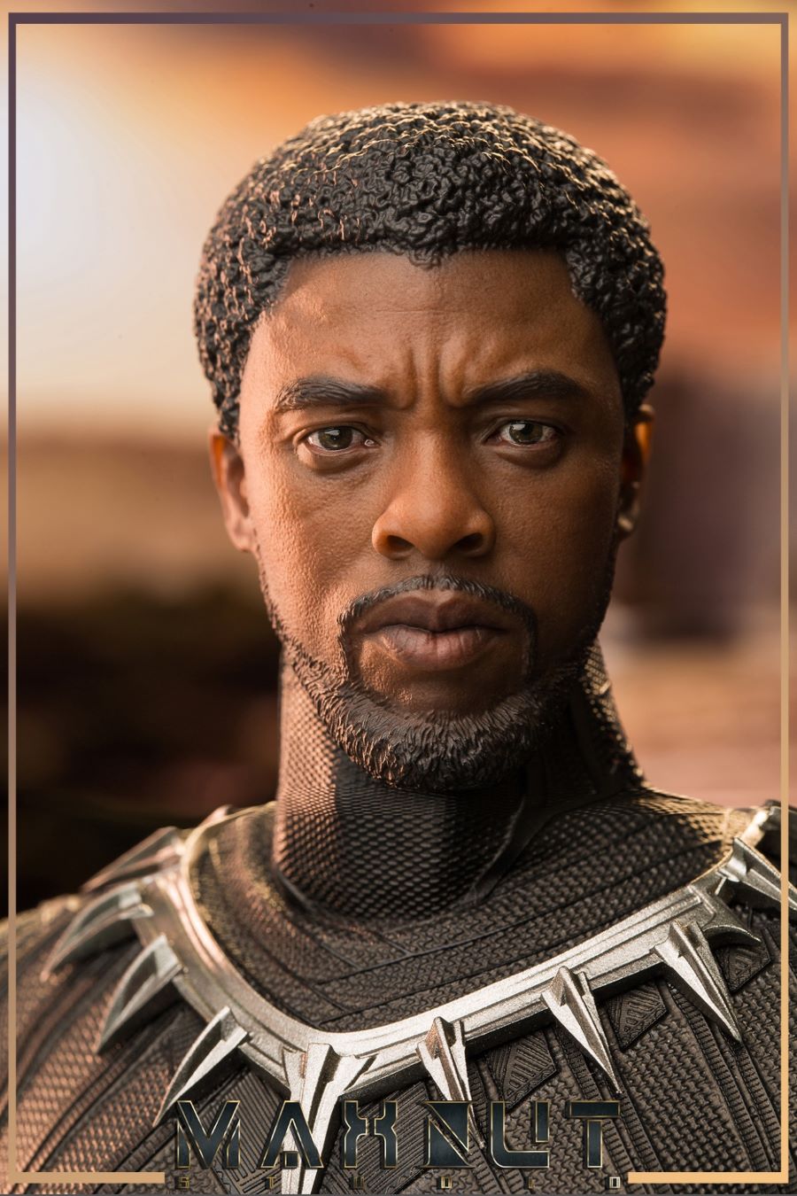 1/6 Black Panther limited edition head carving set