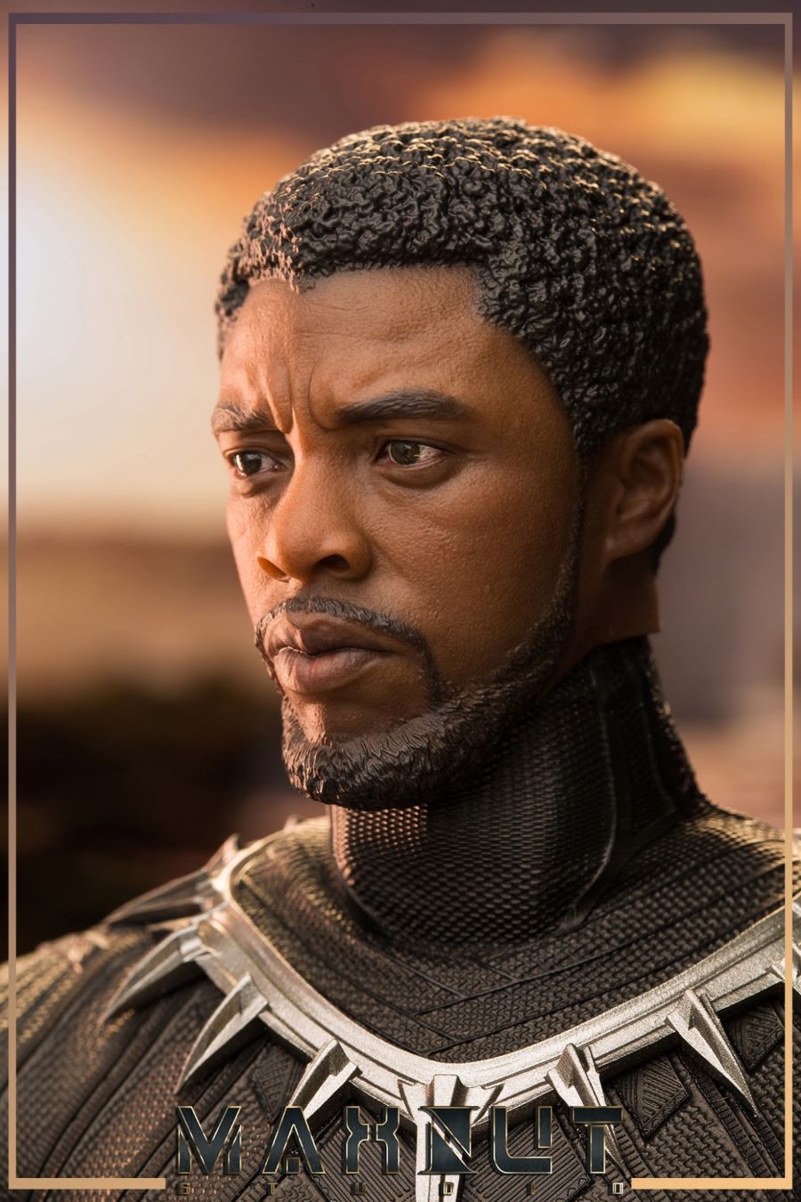 1/6 Black Panther limited edition head carving set