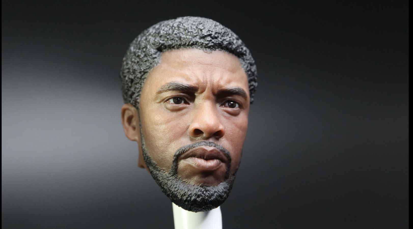 1/6 Black Panther limited edition head carving set