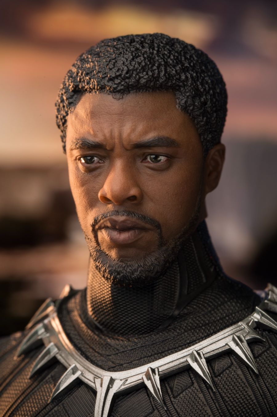 1/6 Black Panther limited edition head carving set