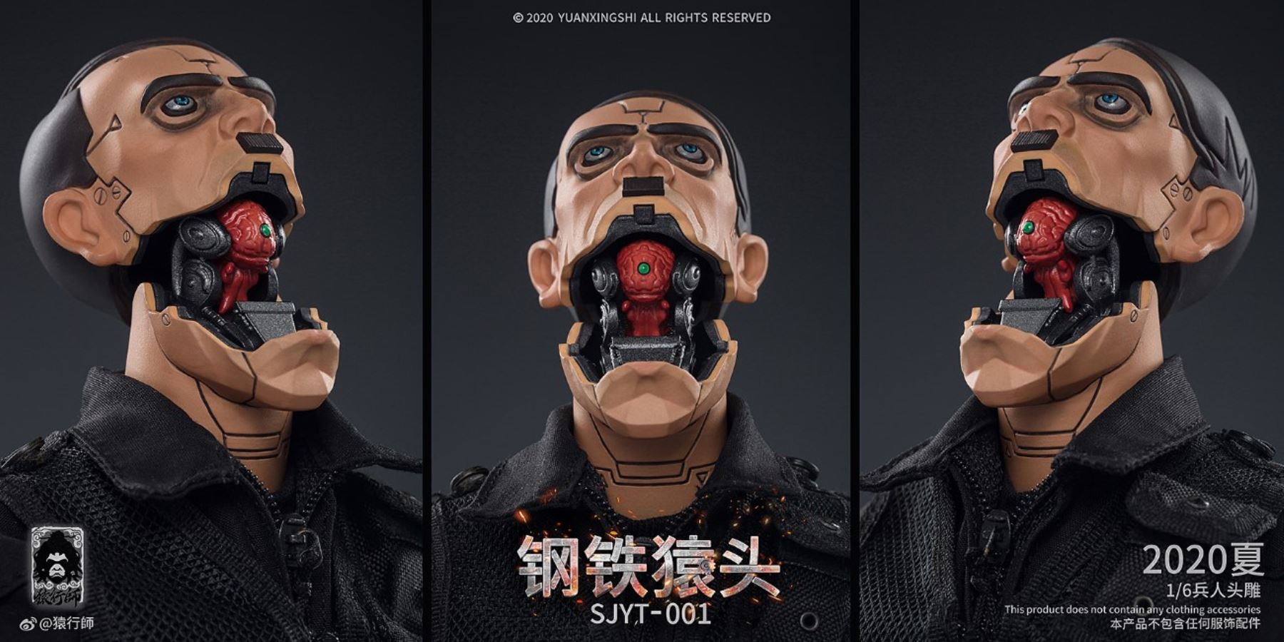 1/6 World Ape Head-Steel Ape Head Sculpture (SJYT-001)