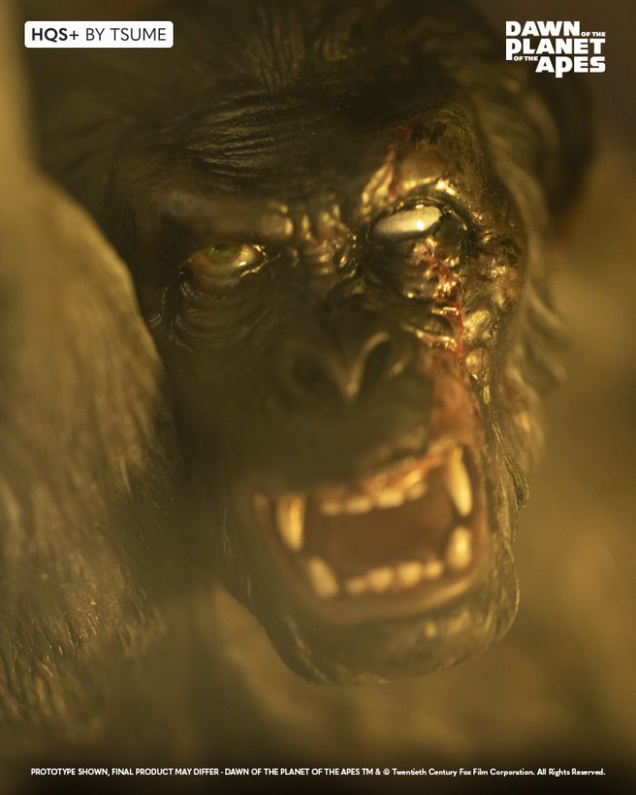 Ape not Kill Ape HQS (Dawn of the Planet of the Apes)