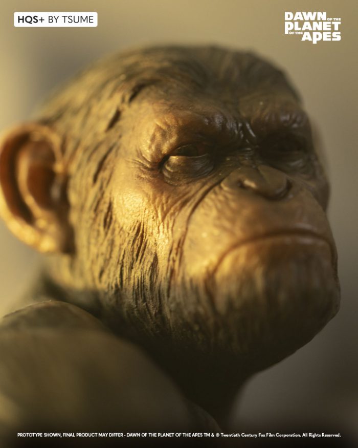 Ape not Kill Ape HQS (Dawn of the Planet of the Apes)