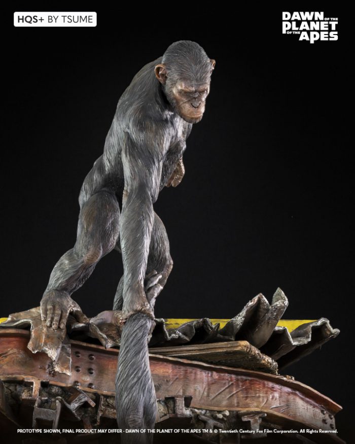 Ape not Kill Ape HQS (Dawn of the Planet of the Apes)