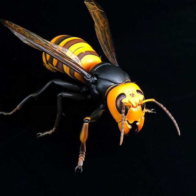 REVO GEO Big hornet