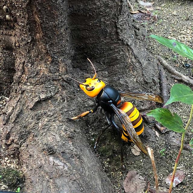 REVO GEO Big hornet