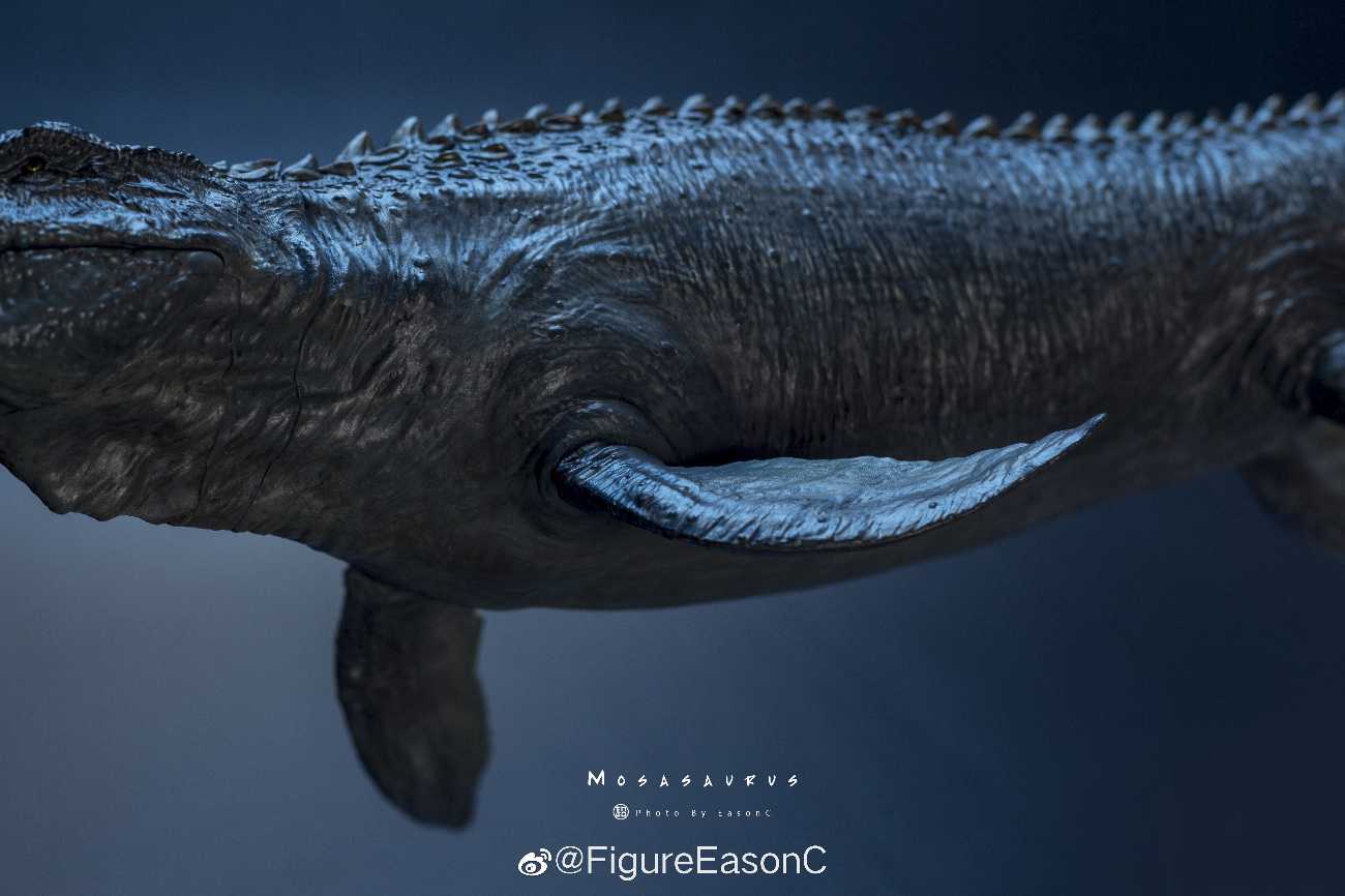 Mosasaurus