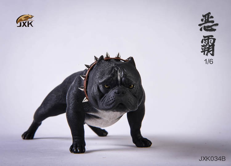 1/6 Bully Dog (JXK034)
