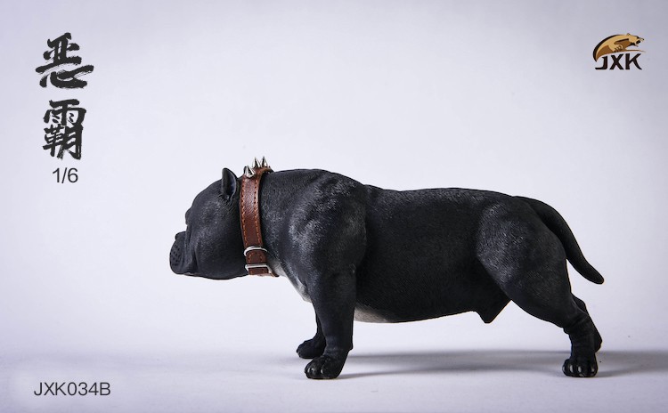 1/6 Bully Dog (JXK034)