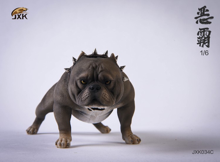 1/6 Bully Dog (JXK034)