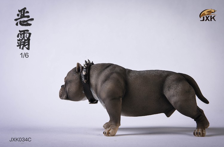 1/6 Bully Dog (JXK034)