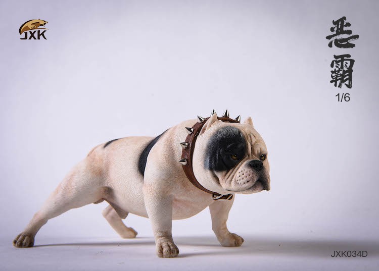 1/6 Bully Dog (JXK034)