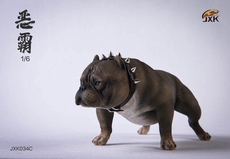 1/6 Bully Dog (JXK034)