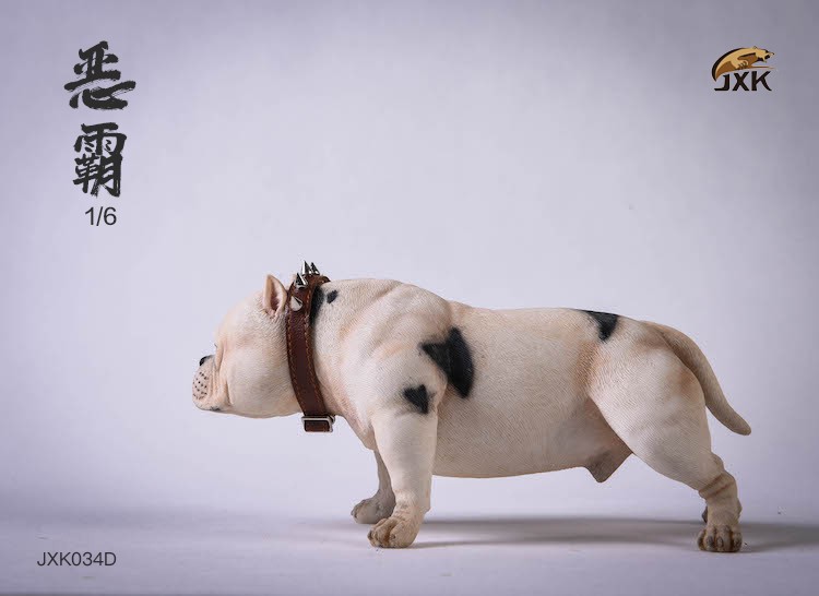 1/6 Bully Dog (JXK034)