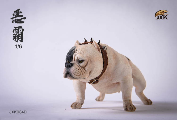 1/6 Bully Dog (JXK034)