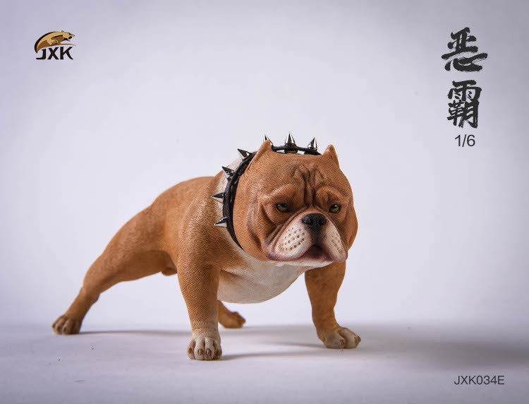 1/6 Bully Dog (JXK034)