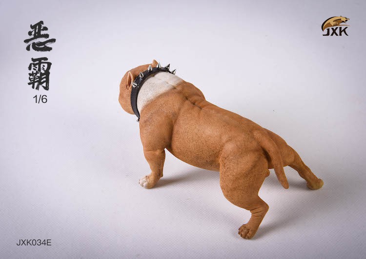 1/6 Bully Dog (JXK034)