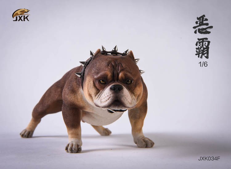 1/6 Bully Dog (JXK034)