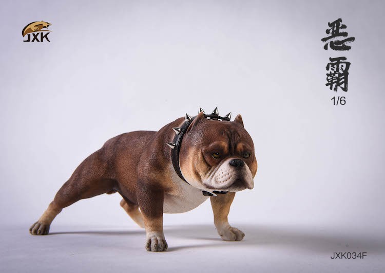 1/6 Bully Dog (JXK034)