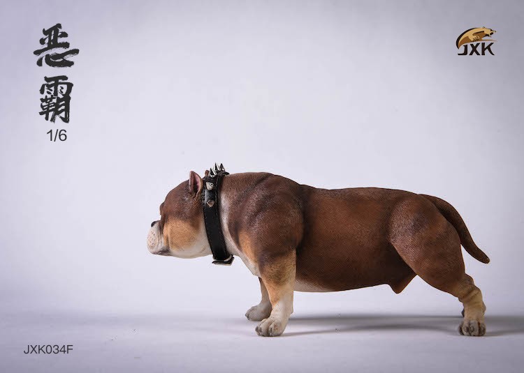 1/6 Bully Dog (JXK034)