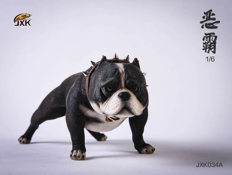 1/6 Bully Dog (JXK034)