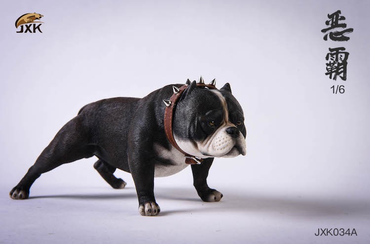 1/6 Bully Dog (JXK034)