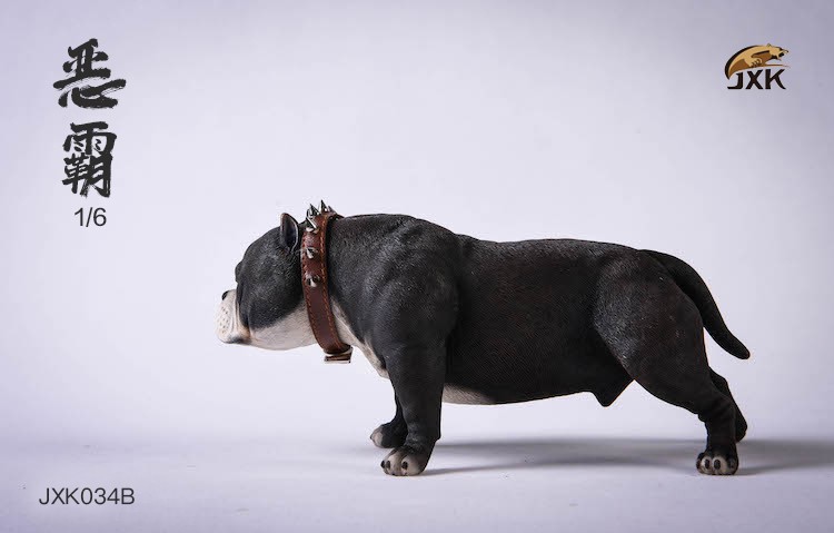 1/6 Bully Dog (JXK034)