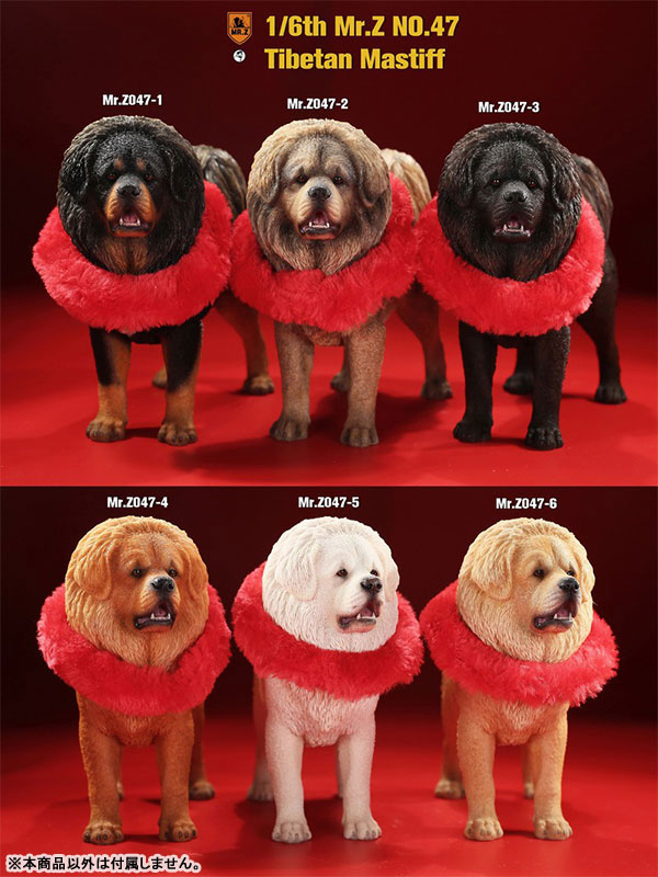 1/6 Tibetan Mastiff 1